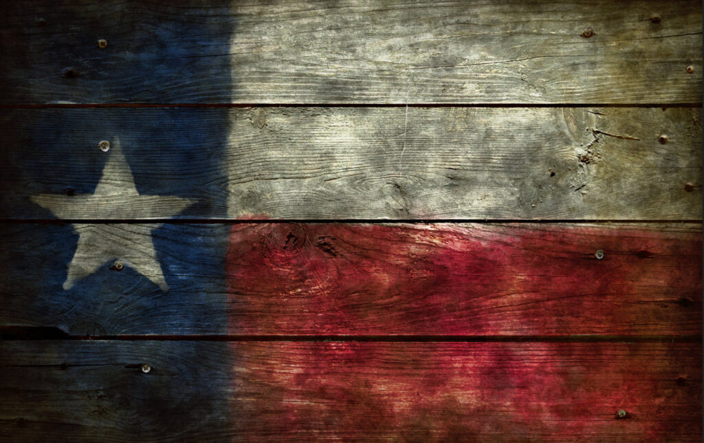 Private firearms instruction and group training for Texas LTC